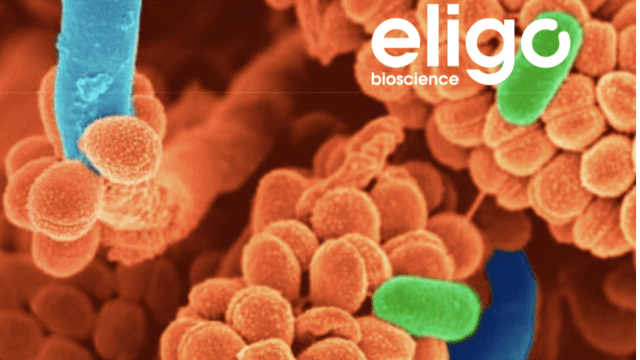 XAVIER DUPORTET, PDG de Eligo Bioscience, ancien élève